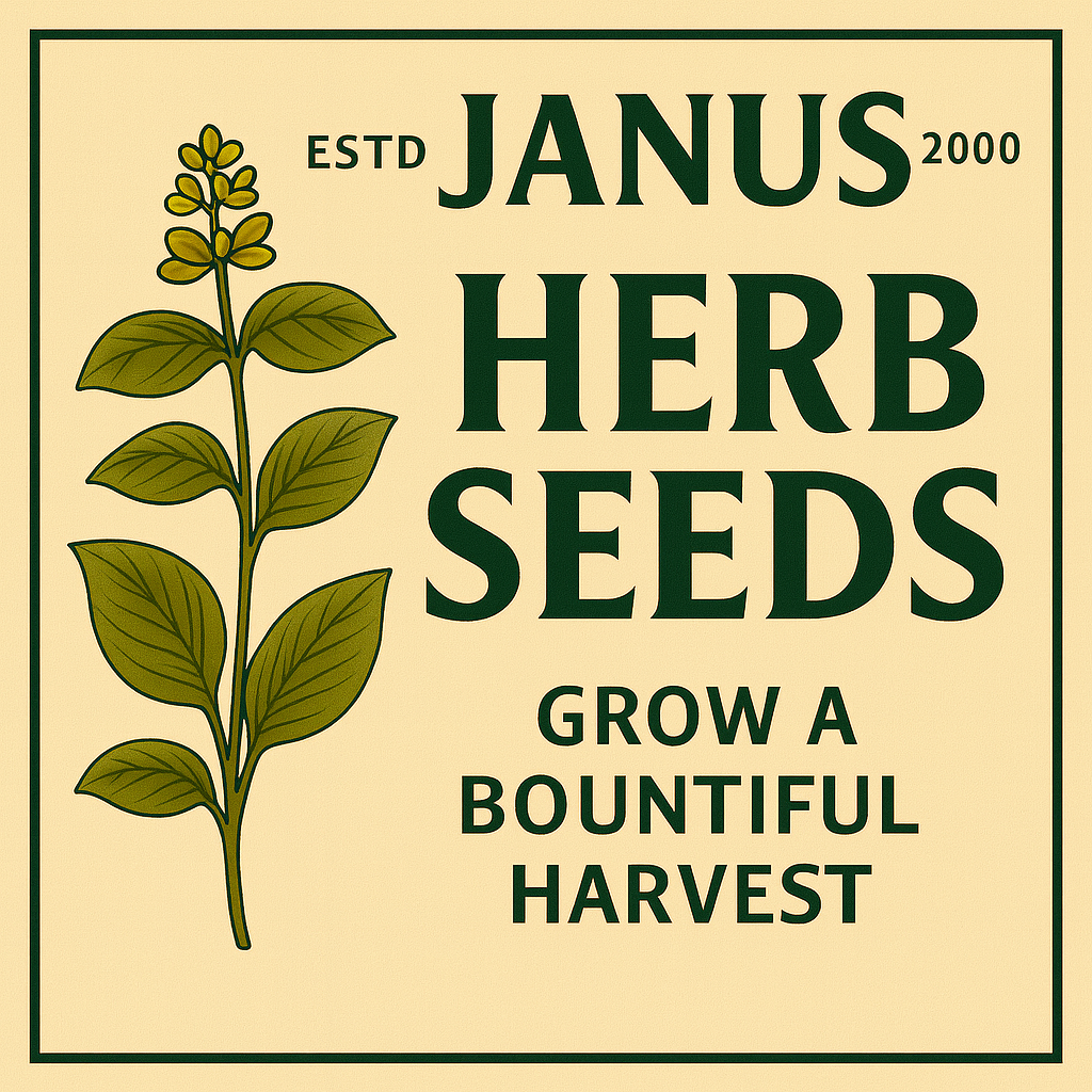 Herb Seeds