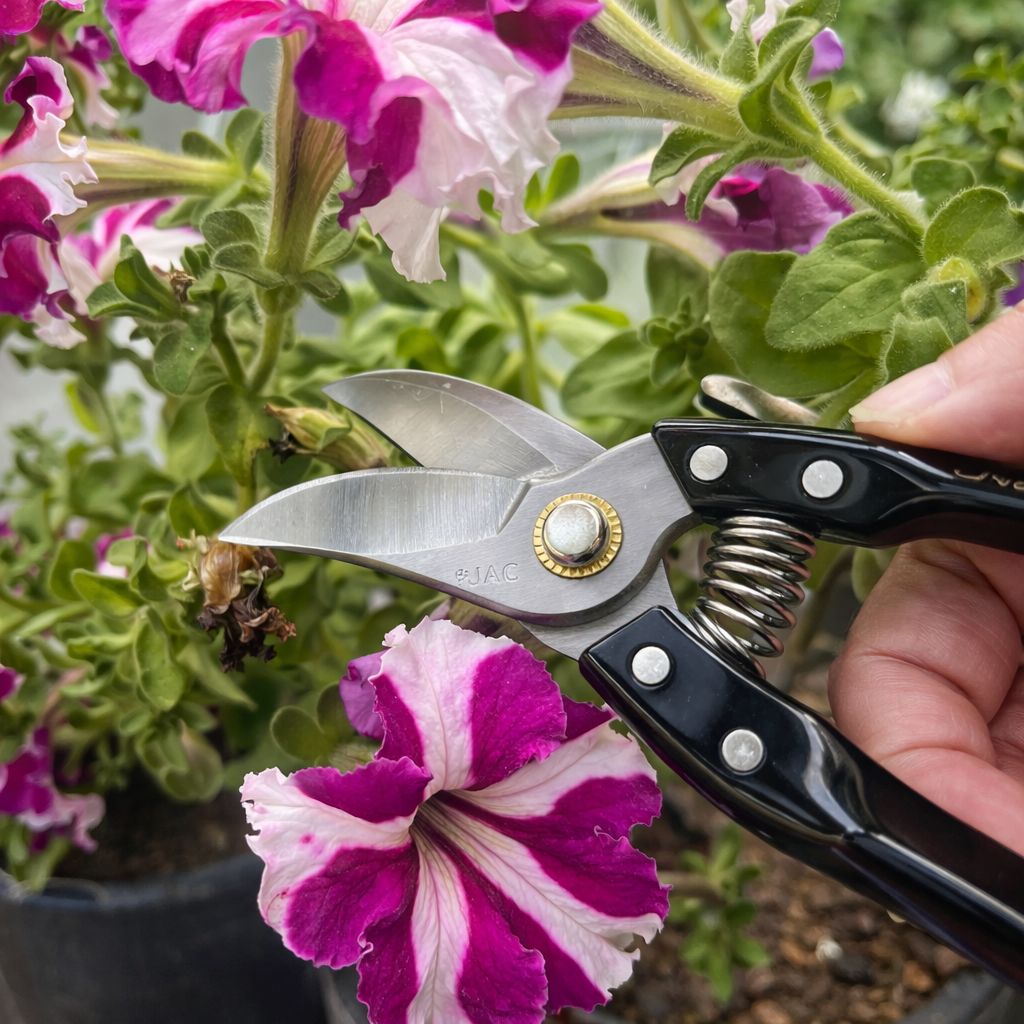 JAC-P06 Precision Garden Pruner