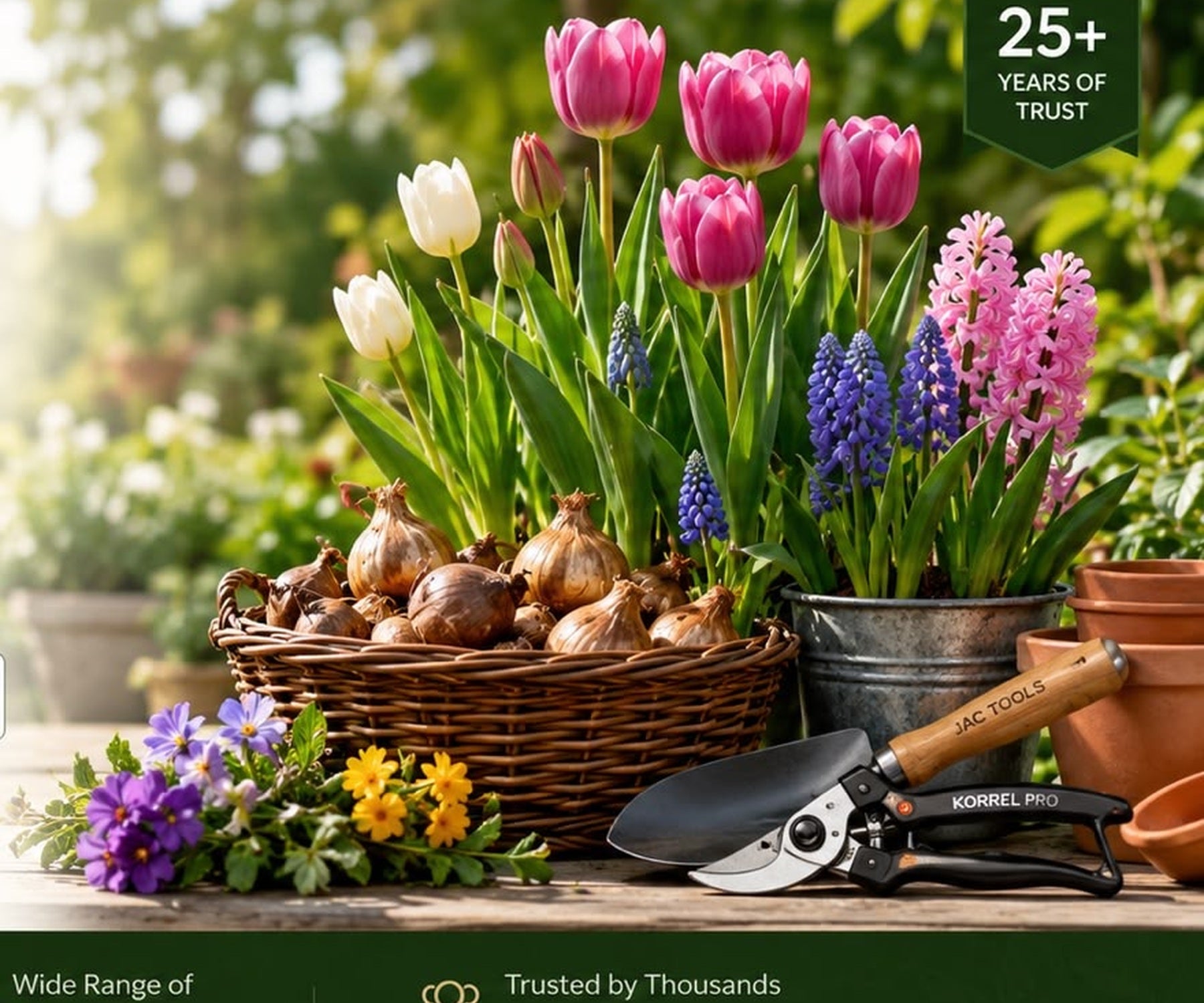 Janus Agro premium flower bulbs and professional garden tools